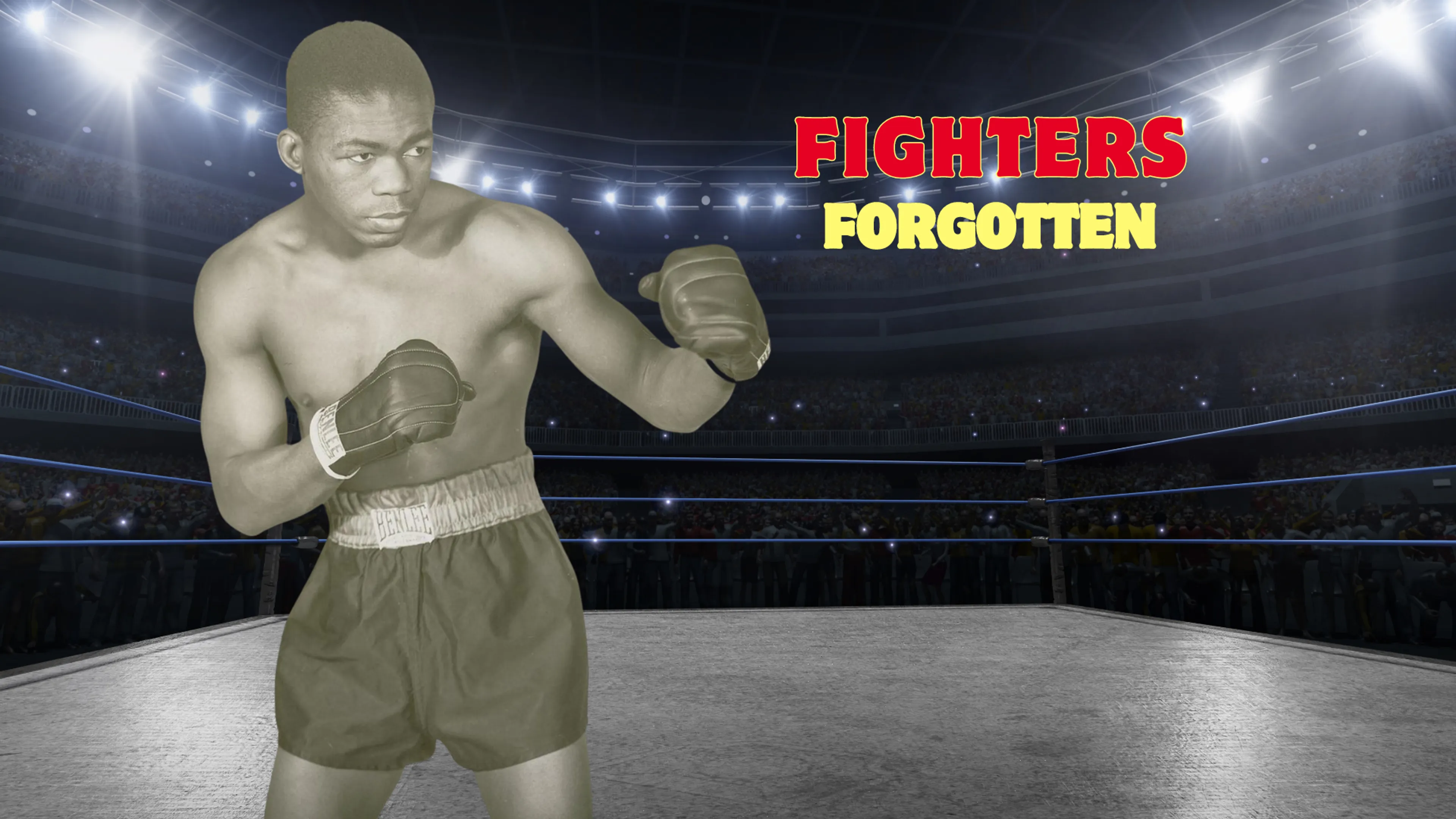 Fighters Forgotten poster